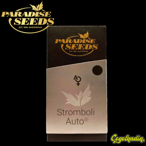 Auto Stromboli - Paradise Seeds Semillas autoflorecientes