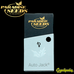 Auto Jack