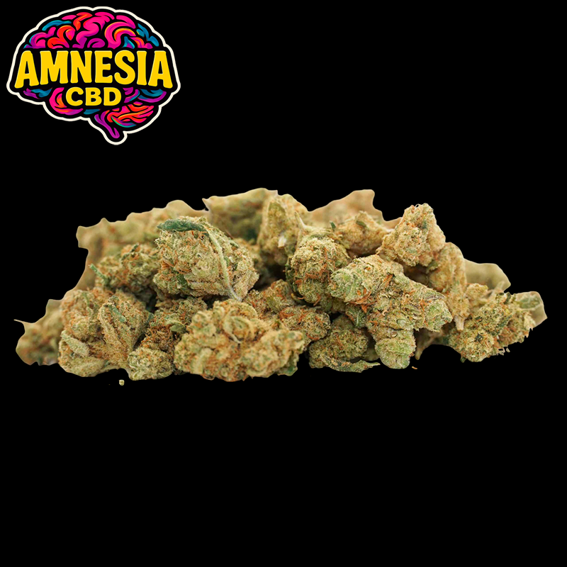Small Buds Indoor Amnesia - Gold CBD