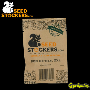 CBD Critical XXL Auto - Seedstockers Semillas Autoflorecientes