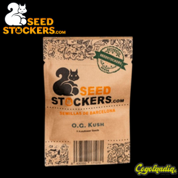 OG Kush Auto - Seedstockers Semillas Autoflorecientes