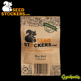 Big Bud Auto - Seedstockers