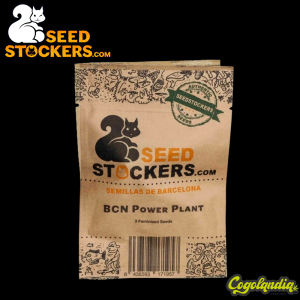 BCN Power Plant Auto - Seedstockers Semillas Autoflorecientes