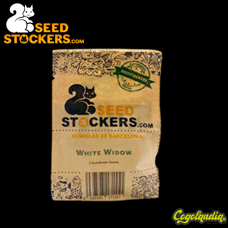 White Widow Auto - Seedstockers