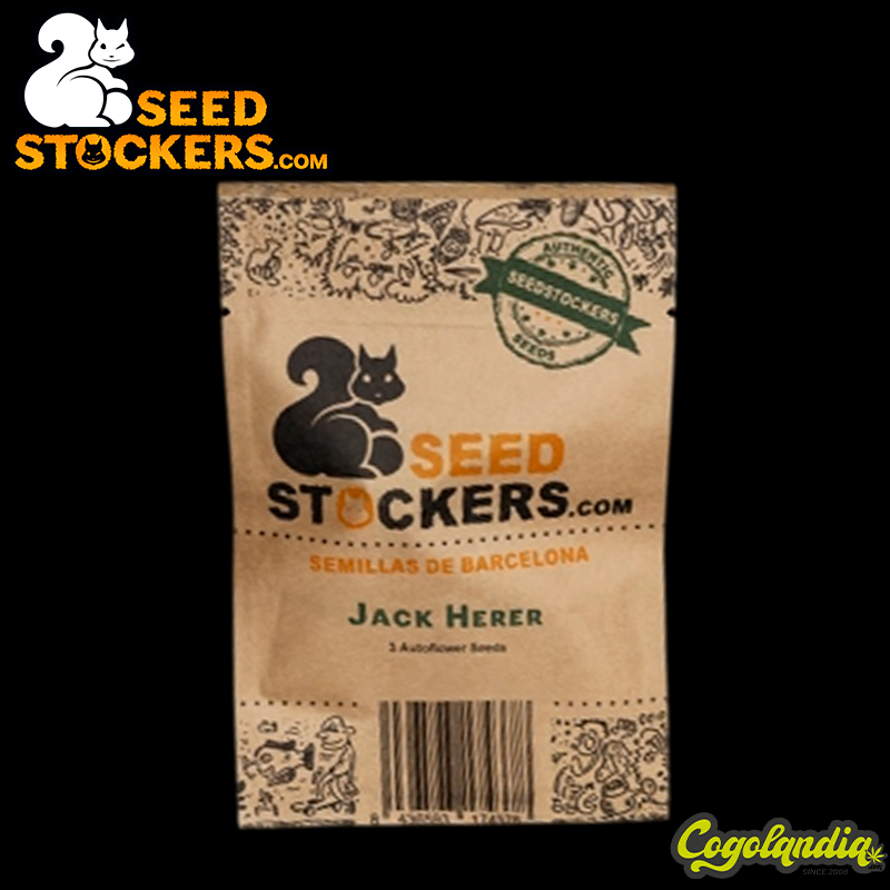 Jack Herer Auto - Seedstockers