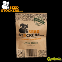 Jack Herer Auto - Seedstockers