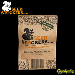 Santa Marta Haze Auto - Seedstockers