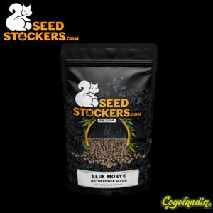 Blue Moby Auto - Seedstockers