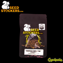 Tropical Zmoothie Auto - Seedstockers Semillas Autoflorecientes