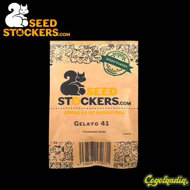 Gelato 41 - Seedstockers