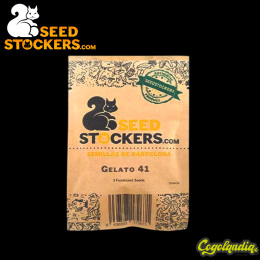 Gelato 41 - Seedstockers