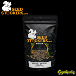 Gorilla Cookies Auto - Seedstockers