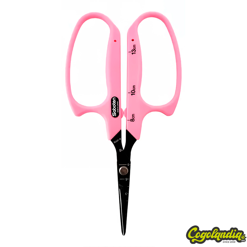 Tijera Angulada - Saboten