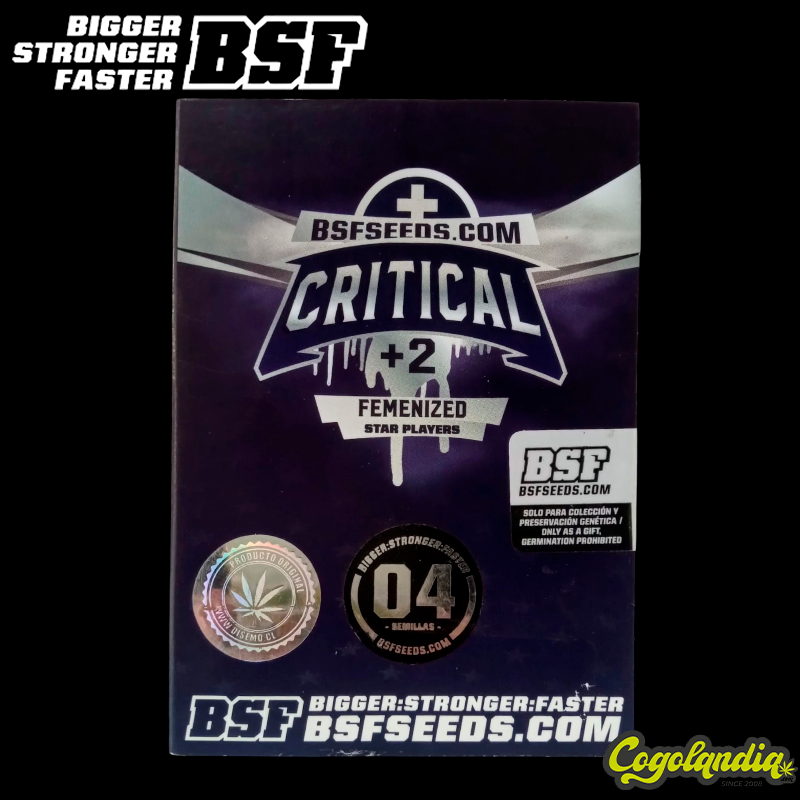 Critical+2 XXL Auto - BSF