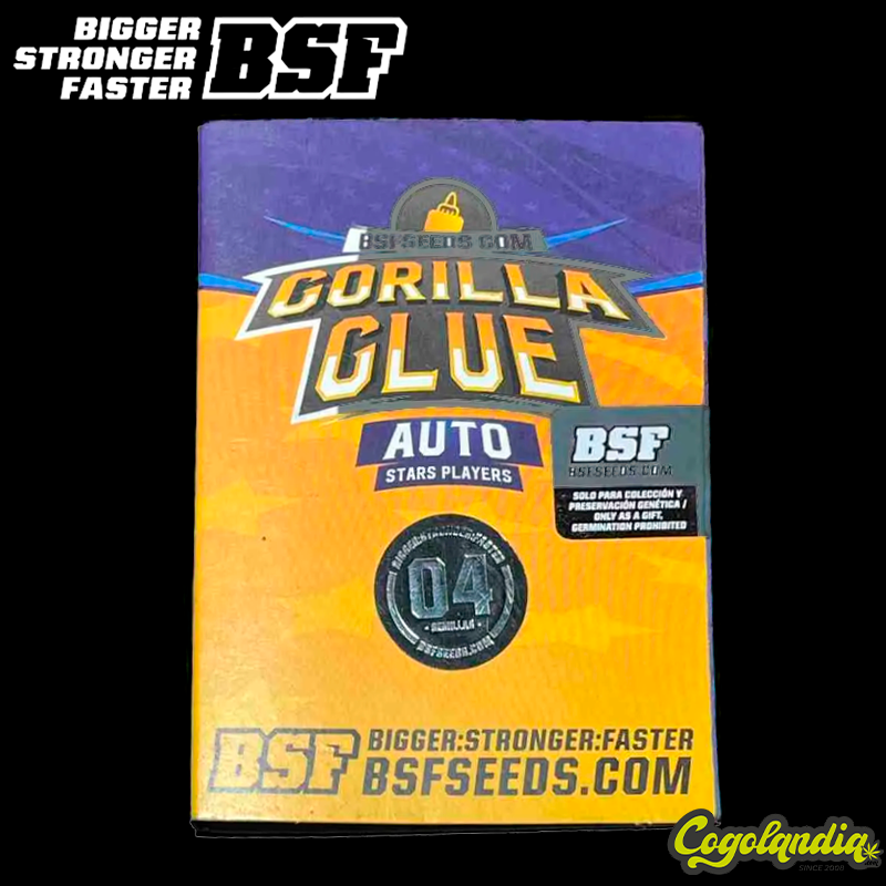 Gorilla Glue Auto - BSF