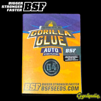 Gorilla Glue Auto - BSF