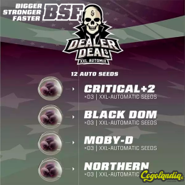 Dealer Deal automix | BSF Seeds