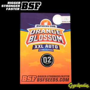 Orange Blossom XXL Auto - BSF Seeds