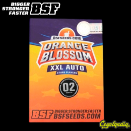 Orange Blossom XXL Auto - BSF Seeds