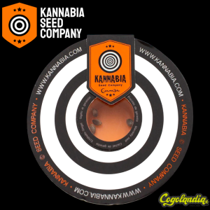 Swiss Dream Auto Cbd - Kannabia