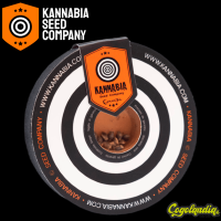 Lemon Haze Auto - Kannabia Semillas de marihuana