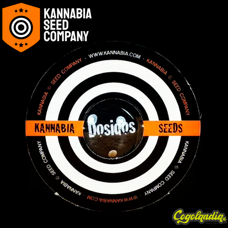 Dosidos Auto - Kannabia