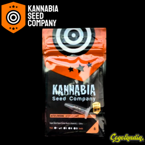 CBG Auto - Kannabia