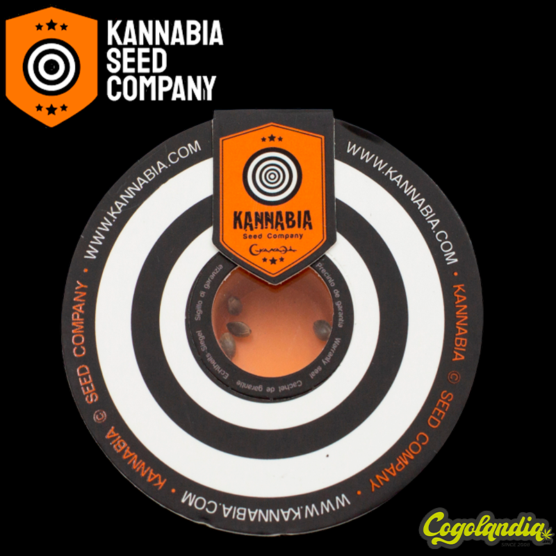 CBDV Auto - Kannabia Semillas de marihuana