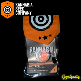 Runtz Auto - Kannabia Semillas de marihuana