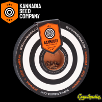 Amnesia Dream XL Auto - Kannabia