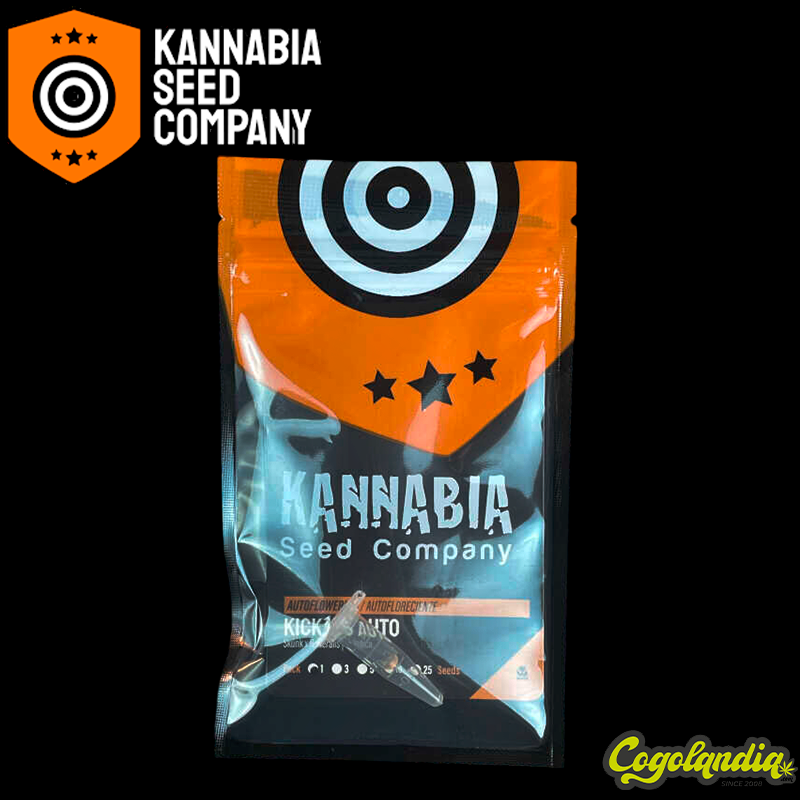 Kickass Auto - Kannabia Semillas de marihuana