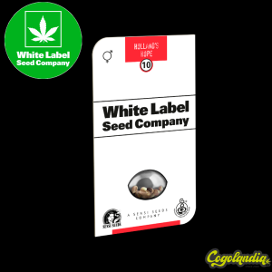 Hollands Hope Regular - White Label Semillas de Marihuana