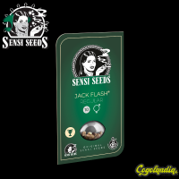 Jack Flash Regular - Sensi Seeds Semillas de Marihuana Regulares