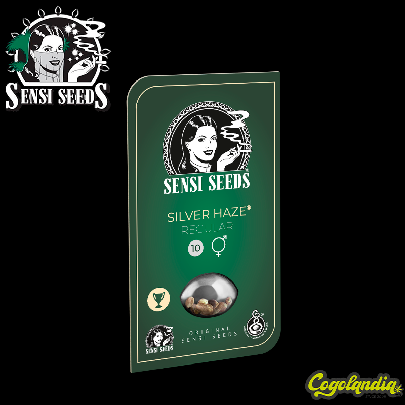 Silver Haze Regular - Sensi Seeds Semillas de Marihuana