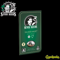 Silver Haze Regular - Sensi Seeds Semillas de Marihuana