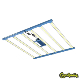 LED Platinum Super King 720W+ – Platinum Horticulture 