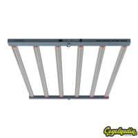 Platinum King Led All In One 720w - Platinum Horticulture