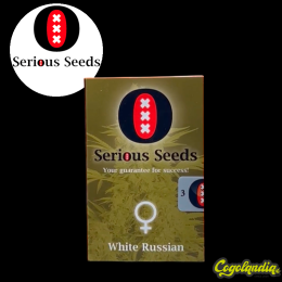 White Russian Regular - Serius Seeds Semillas de Marihuana