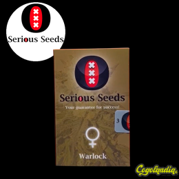 Warlock Regular - Serious Seeds Semillas de Marihuana Regulares