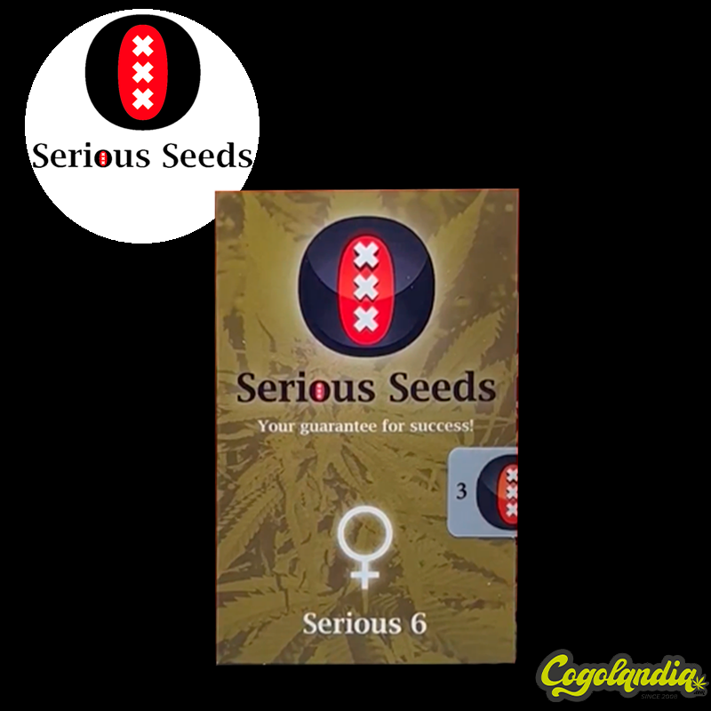 Serious 6 Regular - Serious Seeds Semillas de Marihuana