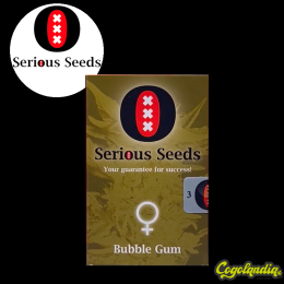 Bubble Gum Regular - Serious Seeds Semillas de Marihuana