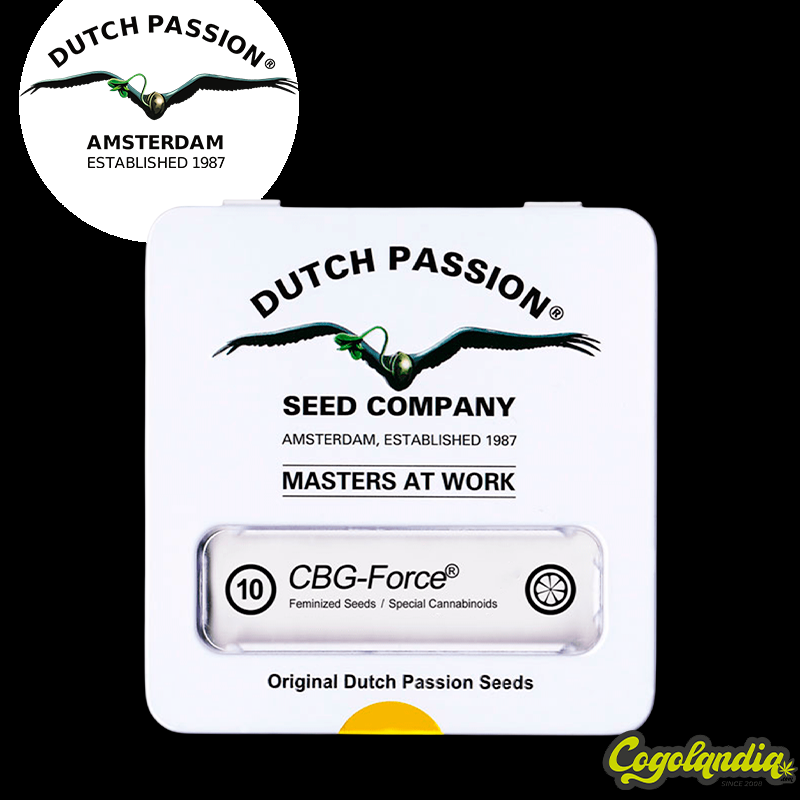 Semilla CBG Force - Dutch Passion