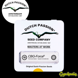 Semilla CBG Force - Dutch Passion