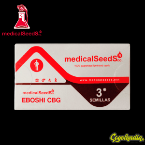 Eboshi CBG - Medical Seeds