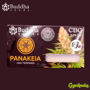 Panakeia High Terpenes CBG - Buddha Seeds