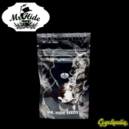 Auto Gelato Ice - Mr Hide Seeds