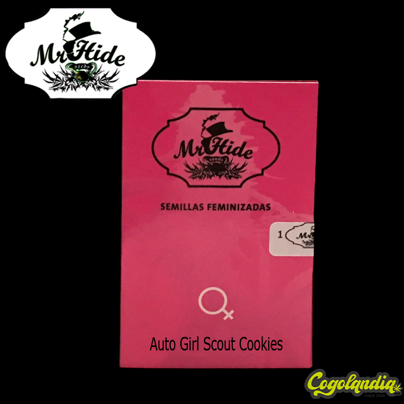 Auto Girl Scout Cookies - Mr Hide Seeds