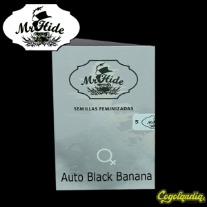 Auto Black Banana - Mr Hide Seeds