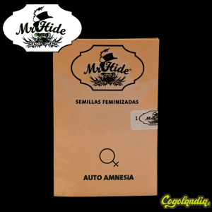 Auto Amnesia - Mr Hide Seeds Semillas de marihuana