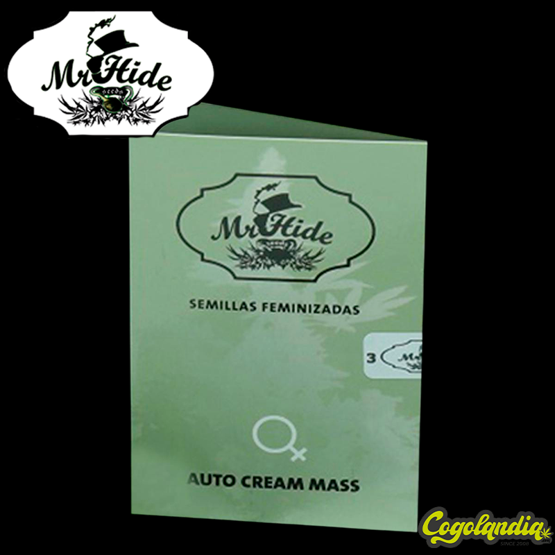 Auto Cream Mass - Mr Hide Seeds Semillas de marihuana